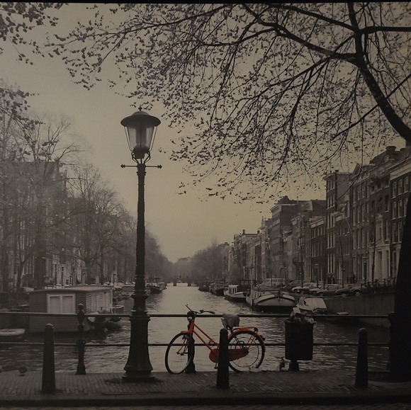 Meet your Posher, Dan - Picture 1 of 1